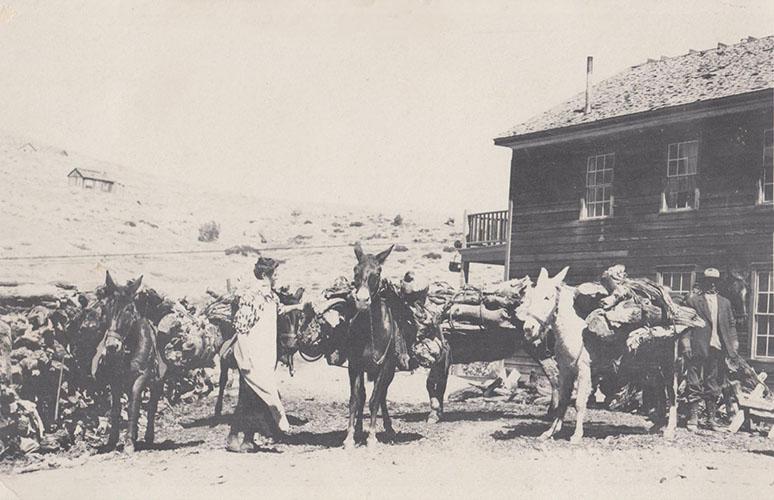 hauling wood at cerro gordo